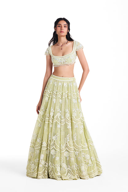 Dewdrop Lehenga Set