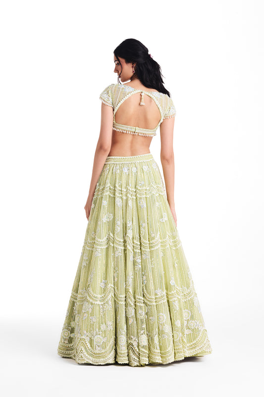 Dewdrop Lehenga Set
