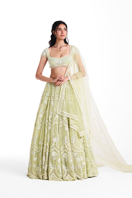 Dewdrop Lehenga Set