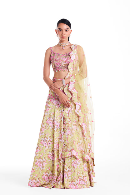 A Garden of Colours Lehenga Set