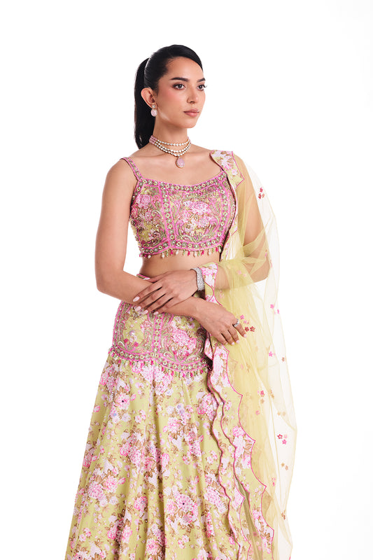 A Garden of Colours Lehenga Set