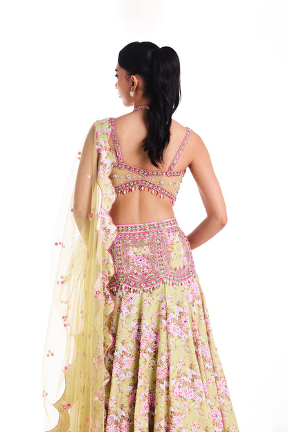 A Garden of Colours Lehenga Set